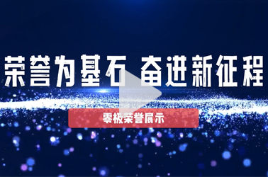 零极荣誉展示